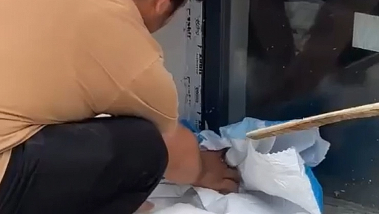 Yılan Paniği Öğretmen Sayesinde Sona Erdi