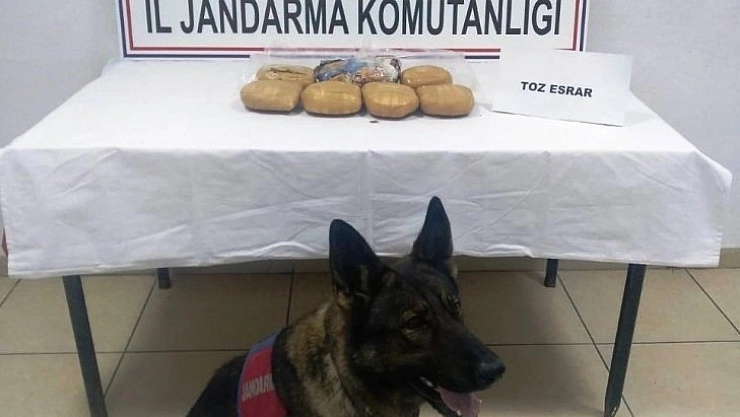 'Kitap'  esrar buldu