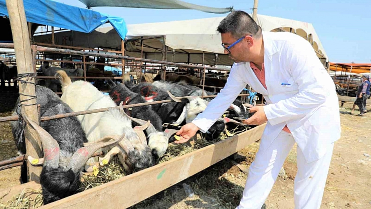 Yüreğir'de kurban kesim yerleri belirlendi