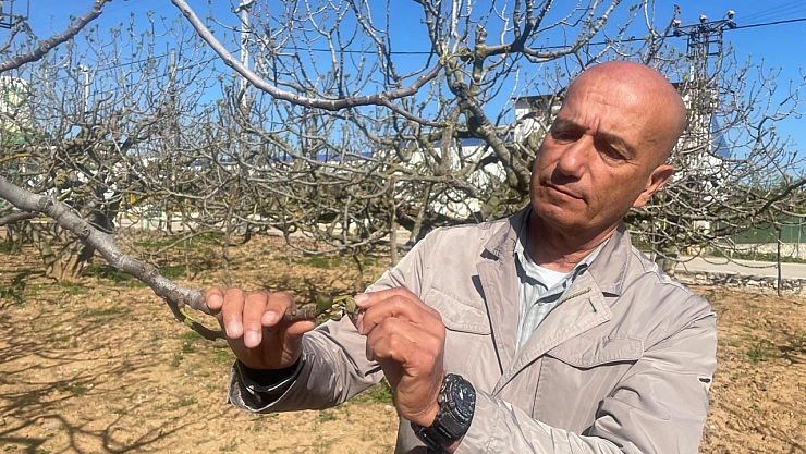 Zirai don Bursa siyahını çok etkilemedi