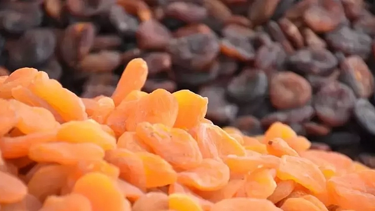 Zirai donun ardından kayısı fırsatçılığı sahnede: Fiyatlar iki katına çıktı…