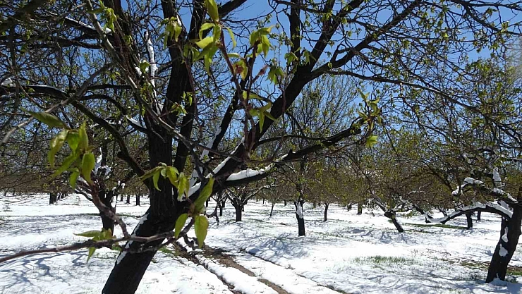 Don vurdu, Hasar büyük: Malatya'da 300'ün üzerinde eksper sahada