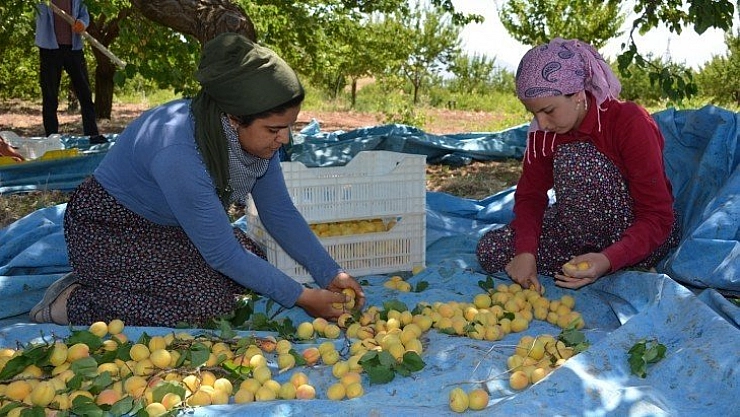 Zorlu koşullarda çalışıyorlar