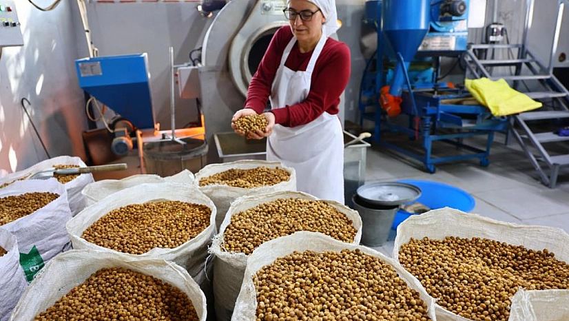 22 kadın, Ağın leblebisini Türkiye'ye taşıdı