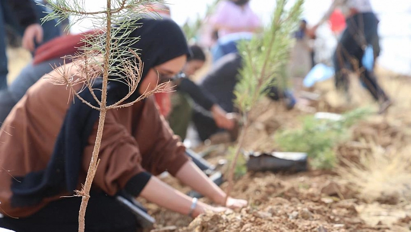 23 bin 650 fidan toprakla buluştu
