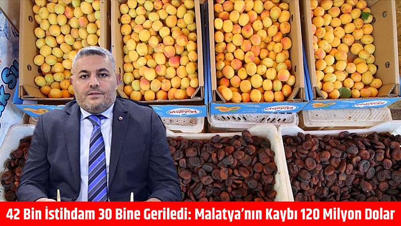 Malatya'nın Kaybı 120 Milyon Dolar