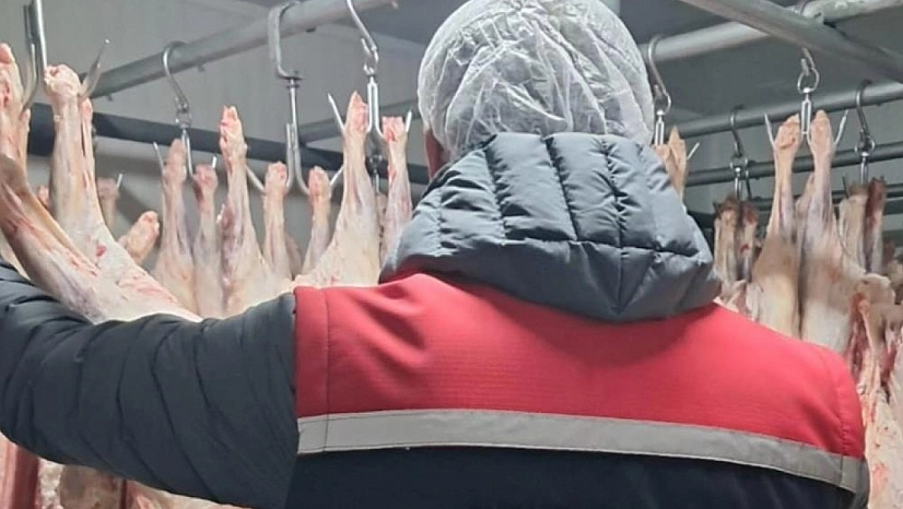 494 işletmeye denetim yapıldı