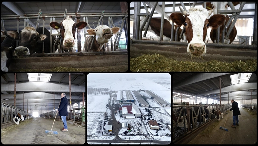 6 Şubat depremlerinde hayvaları telef olmuştu! Devlet desteğiyle yaralarını sardı