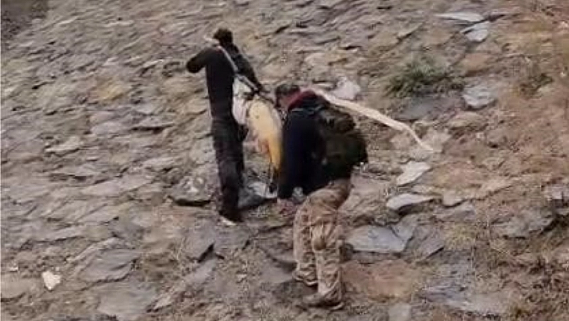 60 kilo turna omuzlarda taşındı