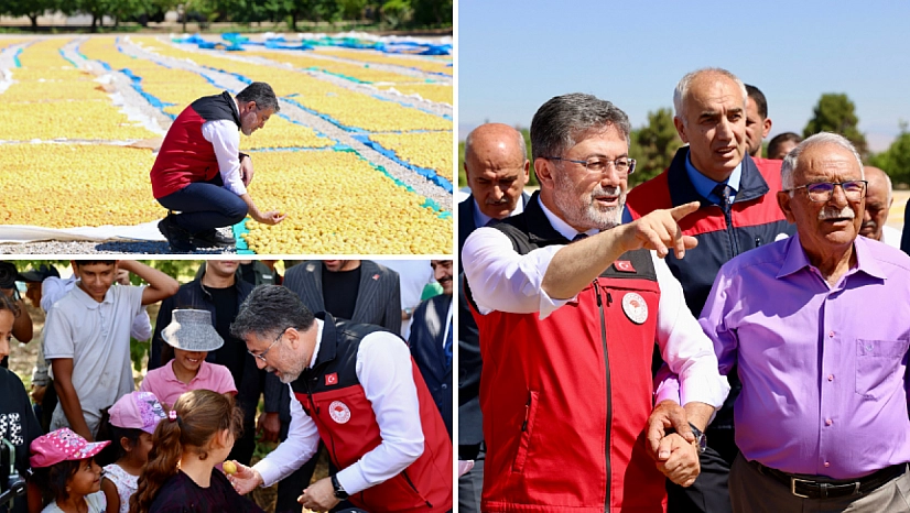 Bakan Yumaklı, Malatya'da aynı bahçede bu kez hasat mutluluğunu yaşadı!