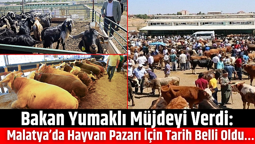 Bakan Yumaklı Müjdeyi Verdi: Malatya'da Hayvan Pazarı İçin Tarih Belli Oldu…
