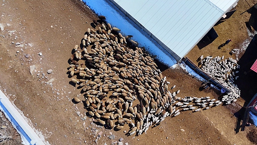 Bakanlık Tescilledi: Malatyalı üreticilere 4,6 milyonluk ek kaynak