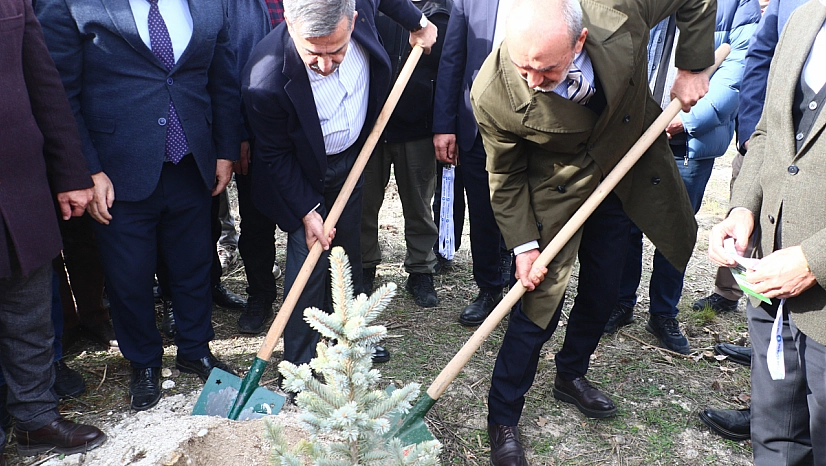 Bir yılda 2 bin 800 orman yangını...