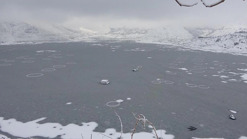 Çat Barajı'nın yüzeyi buz tuttu