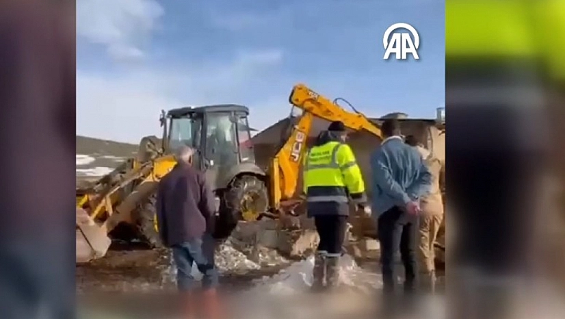 Çatısı çöken ağıldaki 40 koyun telef oldu