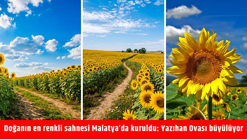 Doğanın en renkli sahnesi Malatya'da kuruldu: Yazıhan Ovası büyülüyor