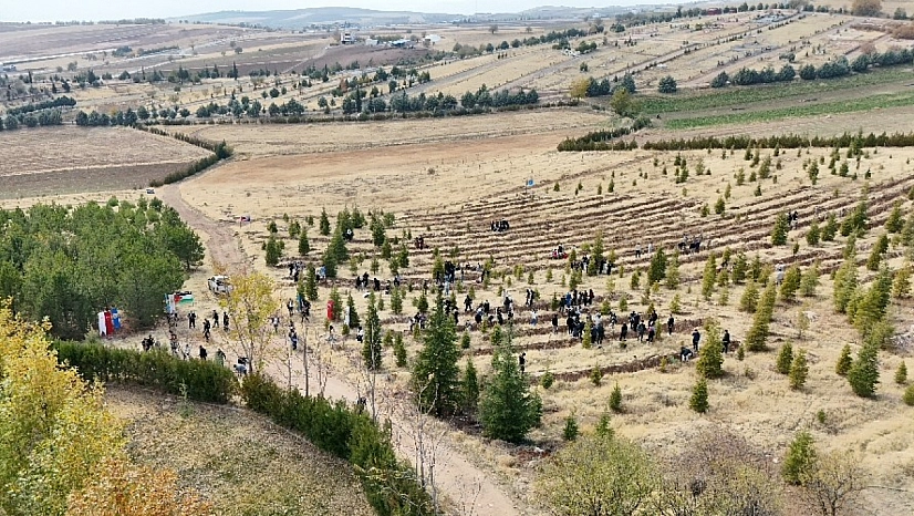 Doğu Türkistan ve Filistin için fidan diktiler