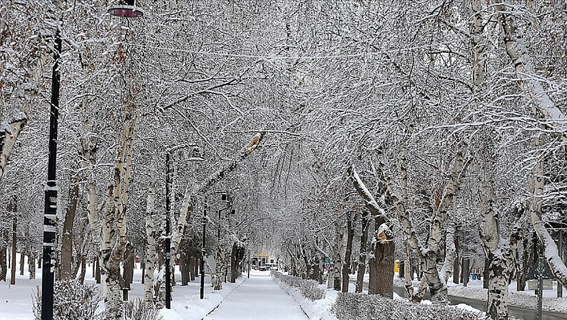 Doğuda kar yağışı etkisini sürdürüyor