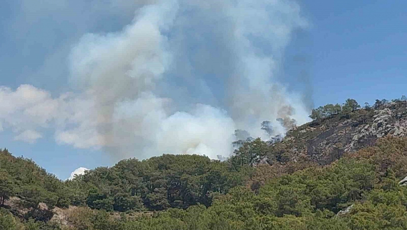Gazipaşa'da ormanlık alanda yangın