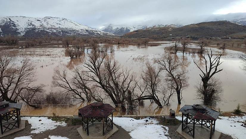 Havşeri Çayı'nın taşması sonucu tarım arazileri zarar gördü