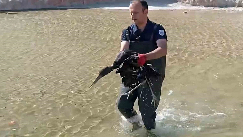 Malatya'da itfaiye yaralı leyleğin imdadına yetişti