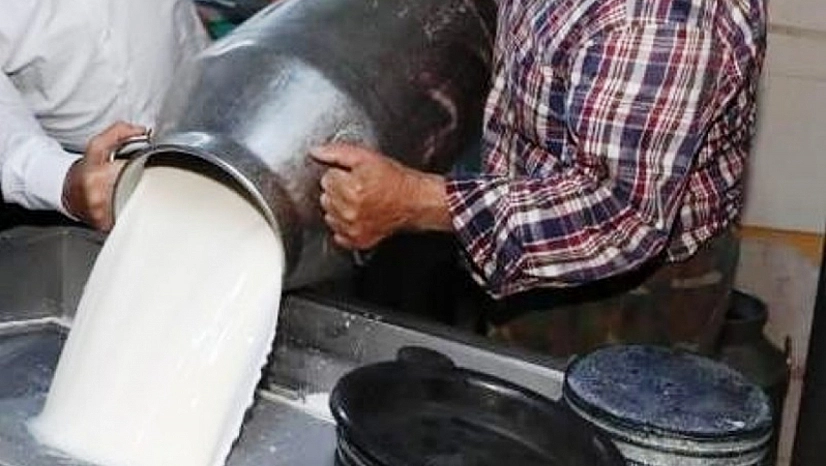 İnek sütünde üretim yüzde 4,6 arttı