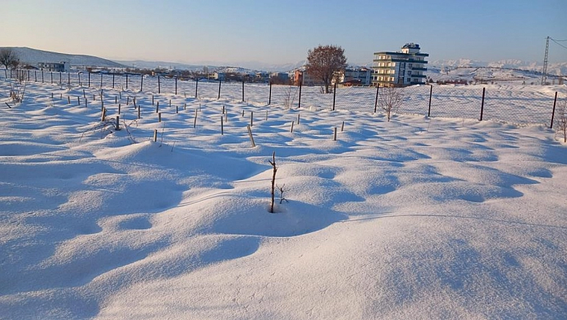 Kar yağışı çiftçiye umut oldu