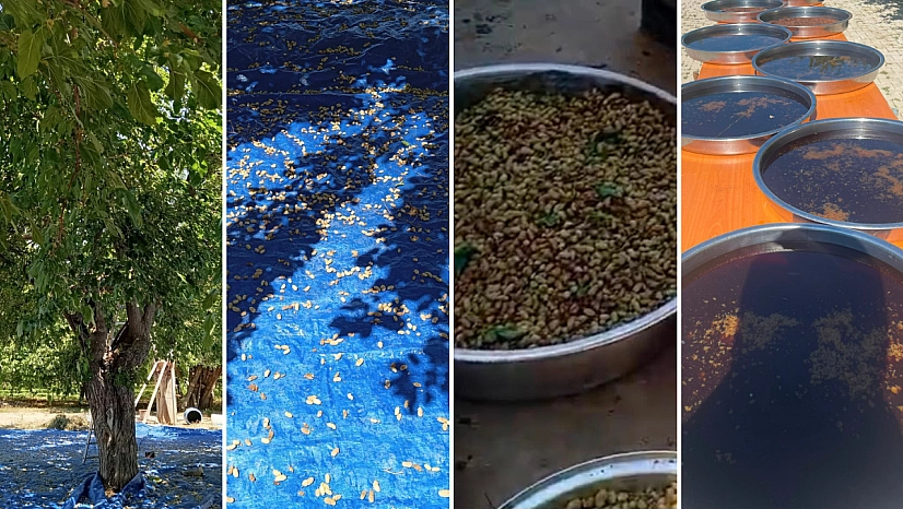 Malatya'da asırlık lezzet yaşatılıyor! Doğal yöntemlerle hazırlanıyor… Vitamin ve mineral deposu