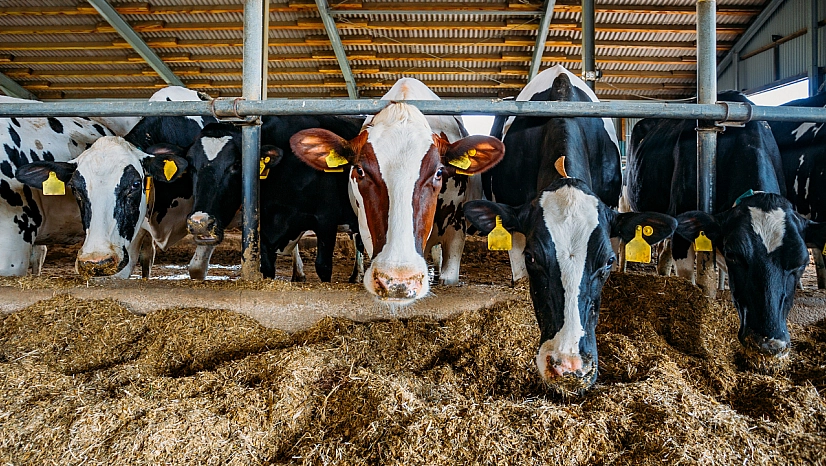Malatya'da besi OTB'nin üstyapı çalışmaları sürüyor