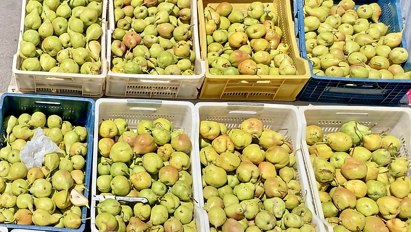 Malatya'da D300 karayolunda satışa çıktı: Kilosu 100 TL'den satılıyor