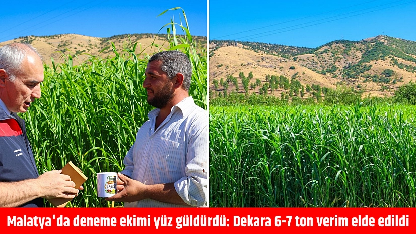 Malatya'da deneme ekimi yüz güldürdü: Dekara 6-7 ton verim elde edildi