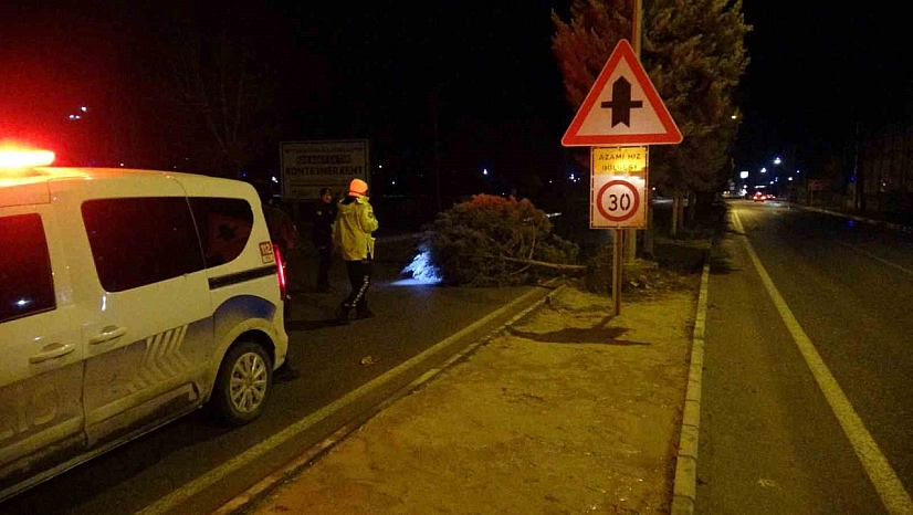Malatya'da fırtına hayatı olumsuz etkiledi: Ağaçlar devrildi, çatılar uçtu
