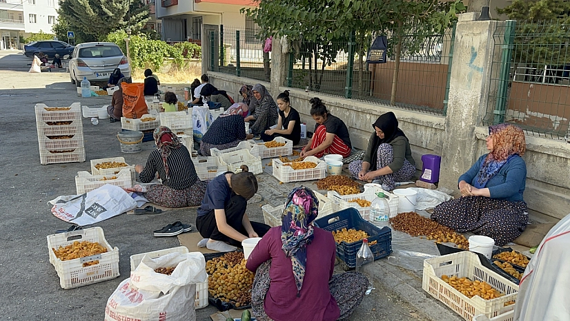 Malatya'da kasa başına 150 TL kazanacaklarken, ceza tehdidiyle karşılaştılar