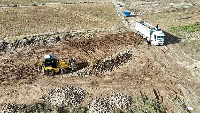 4 bölgeden Malatya'ya getiriliyor: Rekolte ve verim beklentinin üzerinde...