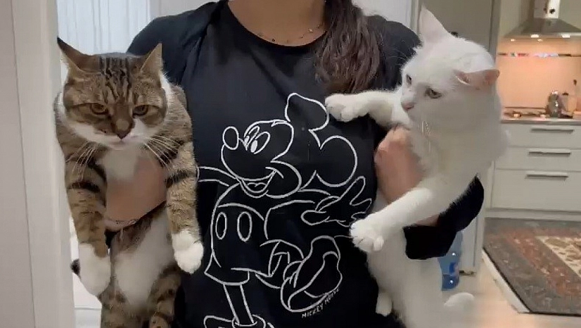 Malatya'da yıllardır süren yanlış anlayış çürütüldü