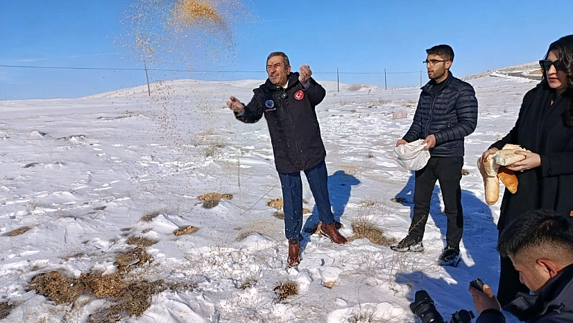 Malatya'da Zorlu Kış Seferberliği: Yaban Hayvanları İçin Yemleme Başladı