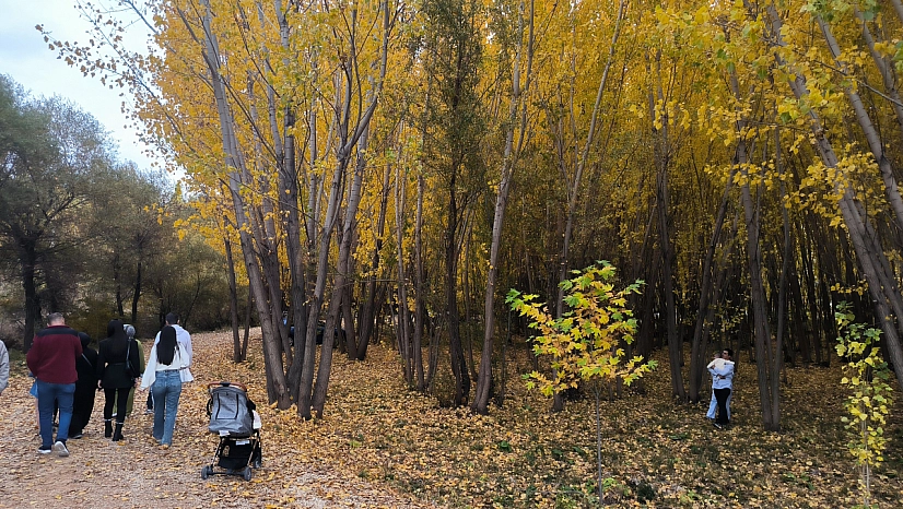 Malatya'dan kartpostallık görüntüler