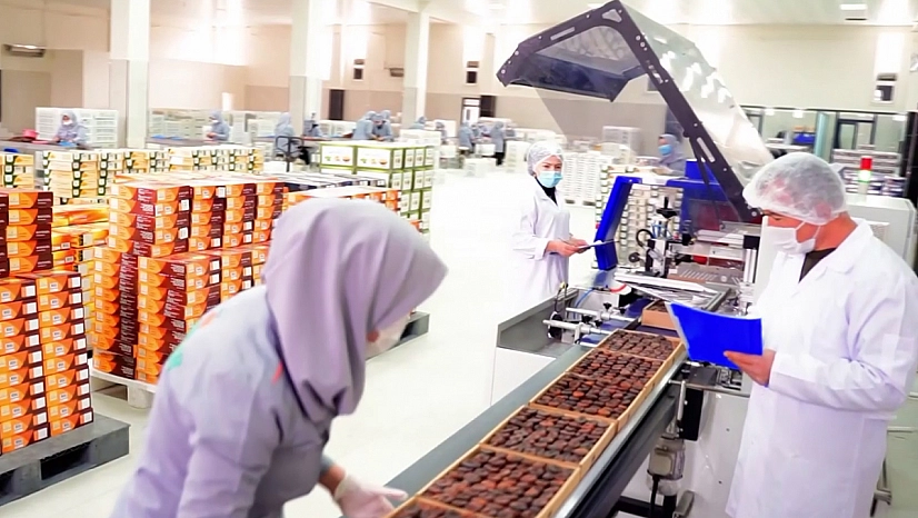 Malatya kayısısından 247 milyon dolarlık gelir