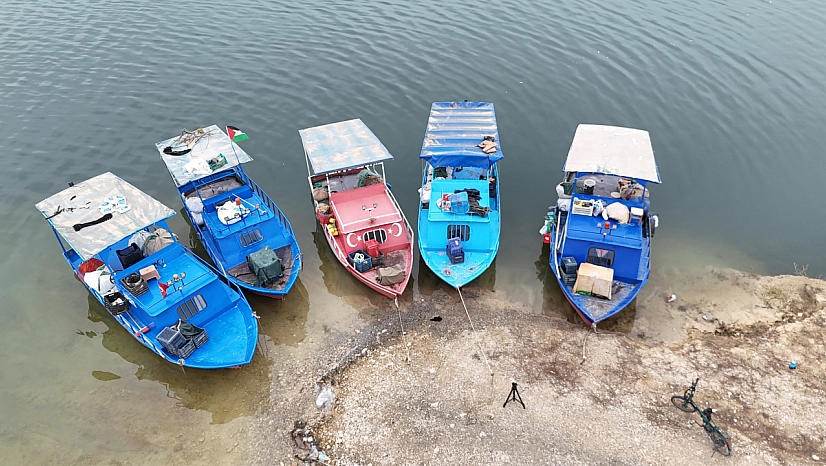 Malatya'nın gelir kapısı oldu: Günlük 2 ton toplanıyor, Ortadoğu ülkelerine satılıyor…