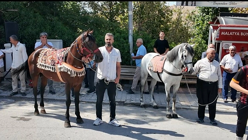 Malatya'nın şampiyon atı Kaçkar yeniden piste çıkıyor! Hedef Erzurum'da zafer