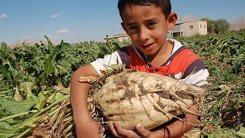 Malatyalılar müjde: Hesaplara 2 milyar 465 milyon TL'lik avans ödemeleri yattı…