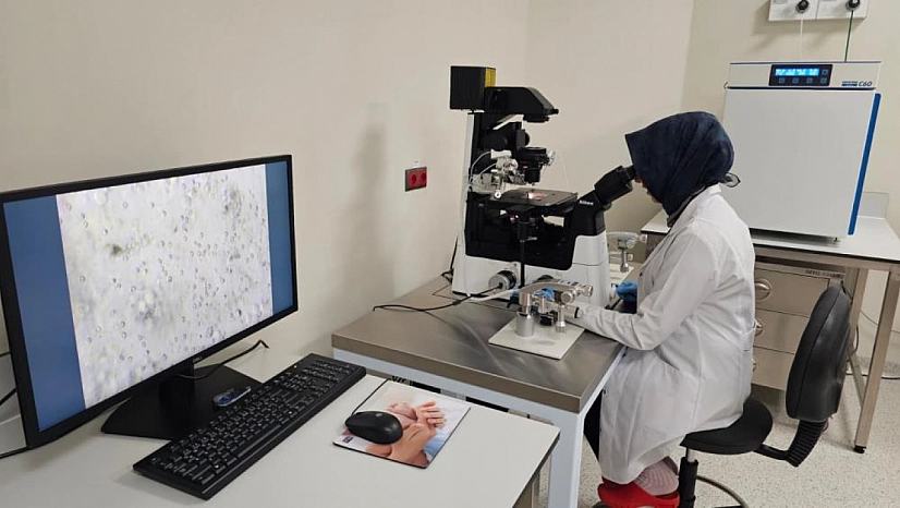 Mikro-TESE yönteminde büyük başarı