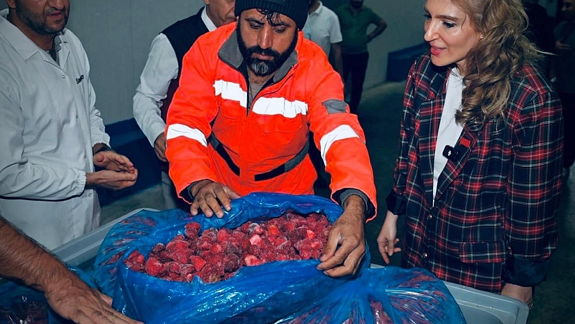Malatya OSB'de üretim ve ihracat atağı: 4 bin ton üretim, 90 kişilik istihdam