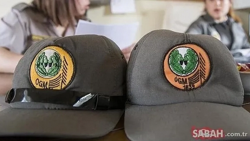 Orman Genel Müdürlüğü 496 Personel Alacak