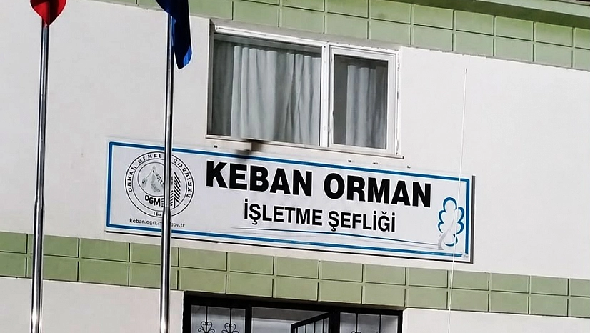 Orman yangınları için kritik günler: Yetkililerden peş peşe uyarı