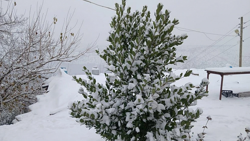 Pütürge beyaza büründü! Kartpostallık görüntüler ortaya çıktı