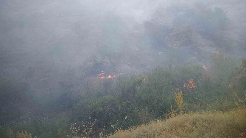 Malatya'da Orman Yangını! Pütürge'de Alevlere Karadan Müdahale Sürüyor