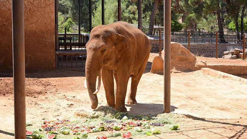 Şahin'den CHP'li Başarır'a yalanlama