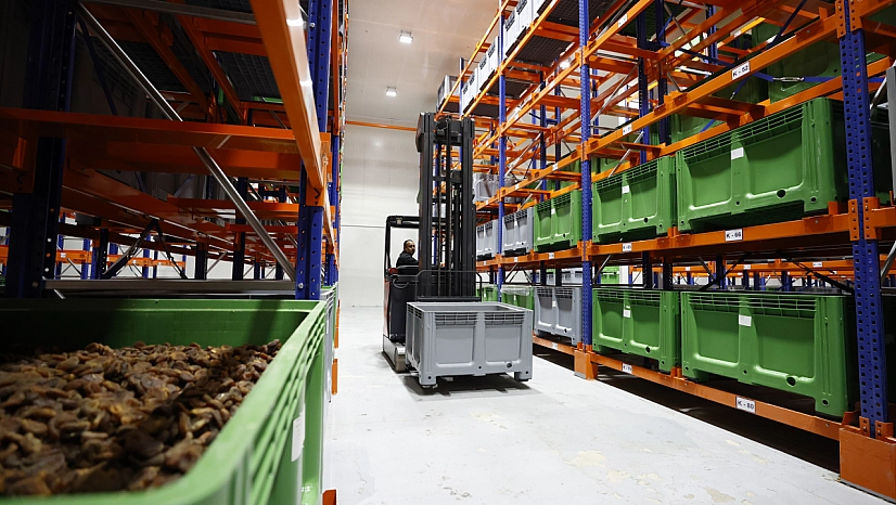 Sakla samanı, gelir zamanı atasözü Malatya'da doğrulandı: Depolar pazarı kurtardı…