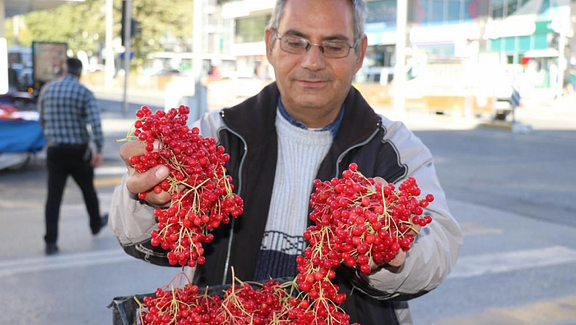 Şifa deposu gilaburuya ilgi yoğun!